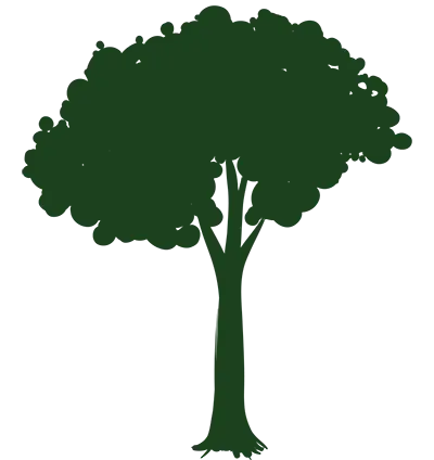 lllustration d'un arbre vert