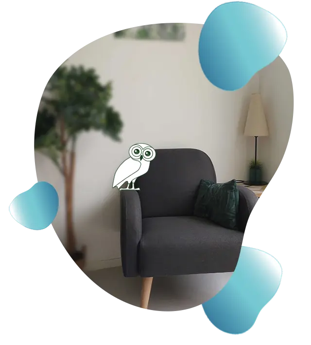 image d'un fauteuil de psychologue avec une chouette posée sur l'accoudoir