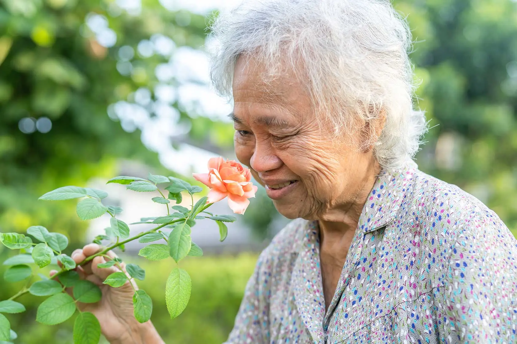 photo d'une femme âgée respirant l'odeur d'une rose